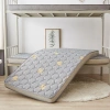 The final version of the new Blue Starry Sky series student three-dimensional mattress with golden leaves and hard cotton mattress Application Scenario